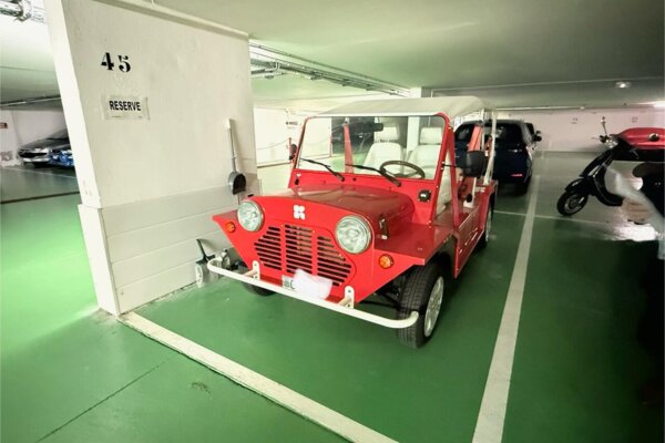 Le Titien - Avenue des Papalins